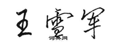 駱恆光王雪軍行書個性簽名怎么寫