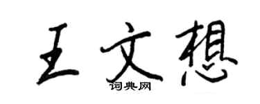 王正良王文想行書個性簽名怎么寫