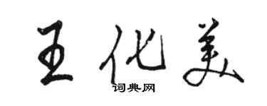 駱恆光王化美行書個性簽名怎么寫