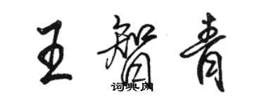 駱恆光王智青行書個性簽名怎么寫