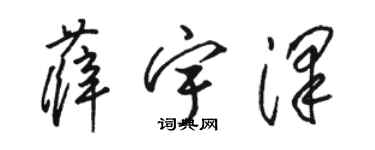 駱恆光薛宇澤草書個性簽名怎么寫