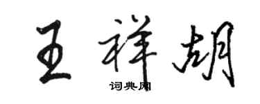 駱恆光王祥胡行書個性簽名怎么寫