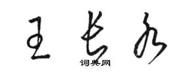 駱恆光王長水草書個性簽名怎么寫