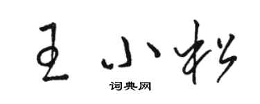 駱恆光王小松草書個性簽名怎么寫