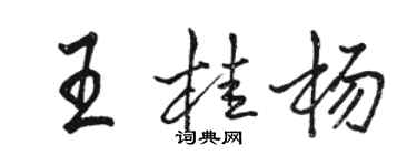 駱恆光王桂楊行書個性簽名怎么寫