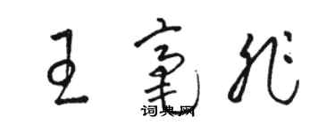 駱恆光王毫非草書個性簽名怎么寫