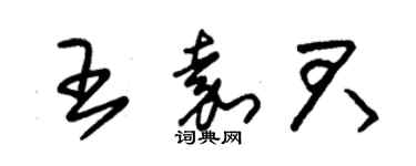 朱錫榮王嘉君草書個性簽名怎么寫