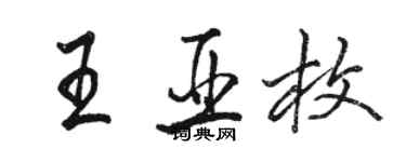 駱恆光王亞枚行書個性簽名怎么寫