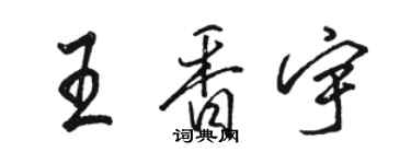 駱恆光王香宇行書個性簽名怎么寫