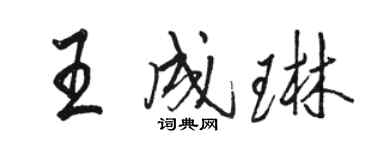 駱恆光王成琳行書個性簽名怎么寫