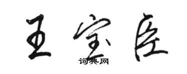 駱恆光王寶臣行書個性簽名怎么寫