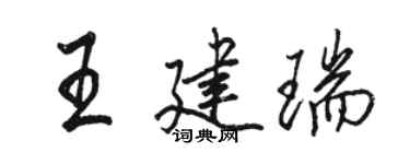 駱恆光王建瑞行書個性簽名怎么寫