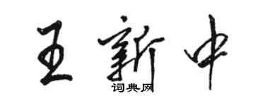 駱恆光王新中行書個性簽名怎么寫