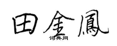 王正良田金鳳行書個性簽名怎么寫