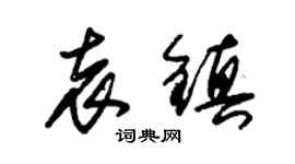 朱錫榮袁鎮草書個性簽名怎么寫