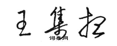 駱恆光王集想草書個性簽名怎么寫