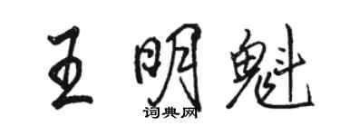 駱恆光王明魁行書個性簽名怎么寫