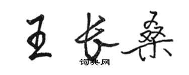 駱恆光王長桑行書個性簽名怎么寫