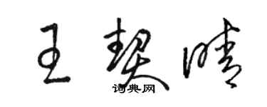 駱恆光王契晴草書個性簽名怎么寫