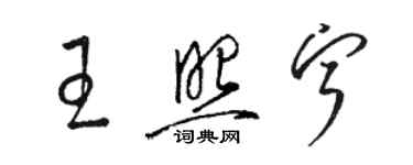 駱恆光王照寧草書個性簽名怎么寫