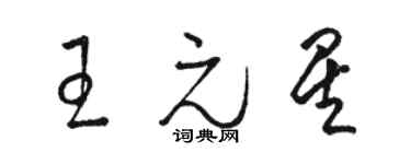 駱恆光王元星草書個性簽名怎么寫