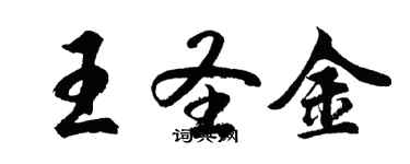 胡問遂王聖金行書個性簽名怎么寫