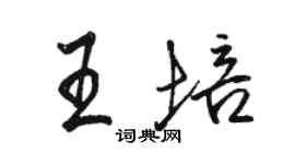 駱恆光王培行書個性簽名怎么寫