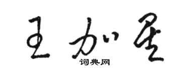 駱恆光王加星草書個性簽名怎么寫