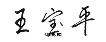 駱恆光王寶平行書個性簽名怎么寫