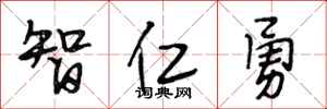 段相林智仁勇行書怎么寫