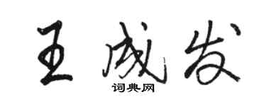 駱恆光王成發行書個性簽名怎么寫