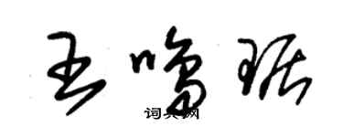 朱錫榮王鳴琚草書個性簽名怎么寫