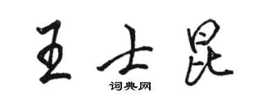 駱恆光王士昆行書個性簽名怎么寫