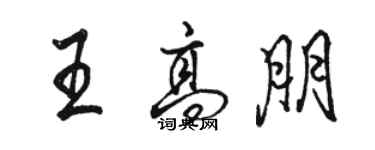 駱恆光王高朋行書個性簽名怎么寫