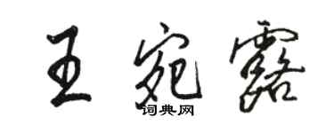 駱恆光王宛露行書個性簽名怎么寫