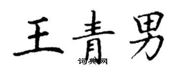 丁謙王青男楷書個性簽名怎么寫