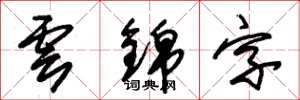 朱錫榮雲錦字草書怎么寫