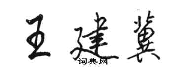 駱恆光王建冀行書個性簽名怎么寫