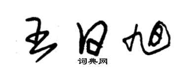 朱錫榮王日旭草書個性簽名怎么寫