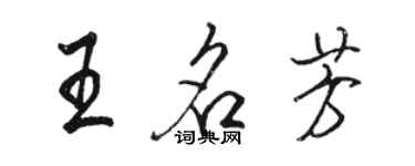 駱恆光王名芳行書個性簽名怎么寫