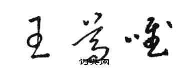 駱恆光王尊唯草書個性簽名怎么寫