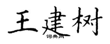 丁謙王建樹楷書個性簽名怎么寫