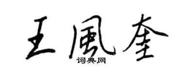 王正良王風奎行書個性簽名怎么寫
