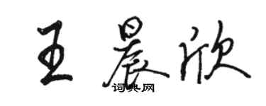 駱恆光王晨欣行書個性簽名怎么寫