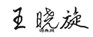 駱恆光王曉旋行書個性簽名怎么寫