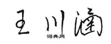 駱恆光王川涵草書個性簽名怎么寫