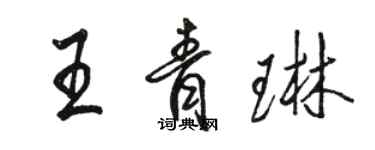 駱恆光王青琳行書個性簽名怎么寫