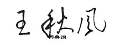駱恆光王秋風草書個性簽名怎么寫