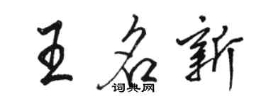 駱恆光王名新行書個性簽名怎么寫