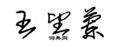 朱錫榮王望蘭草書個性簽名怎么寫